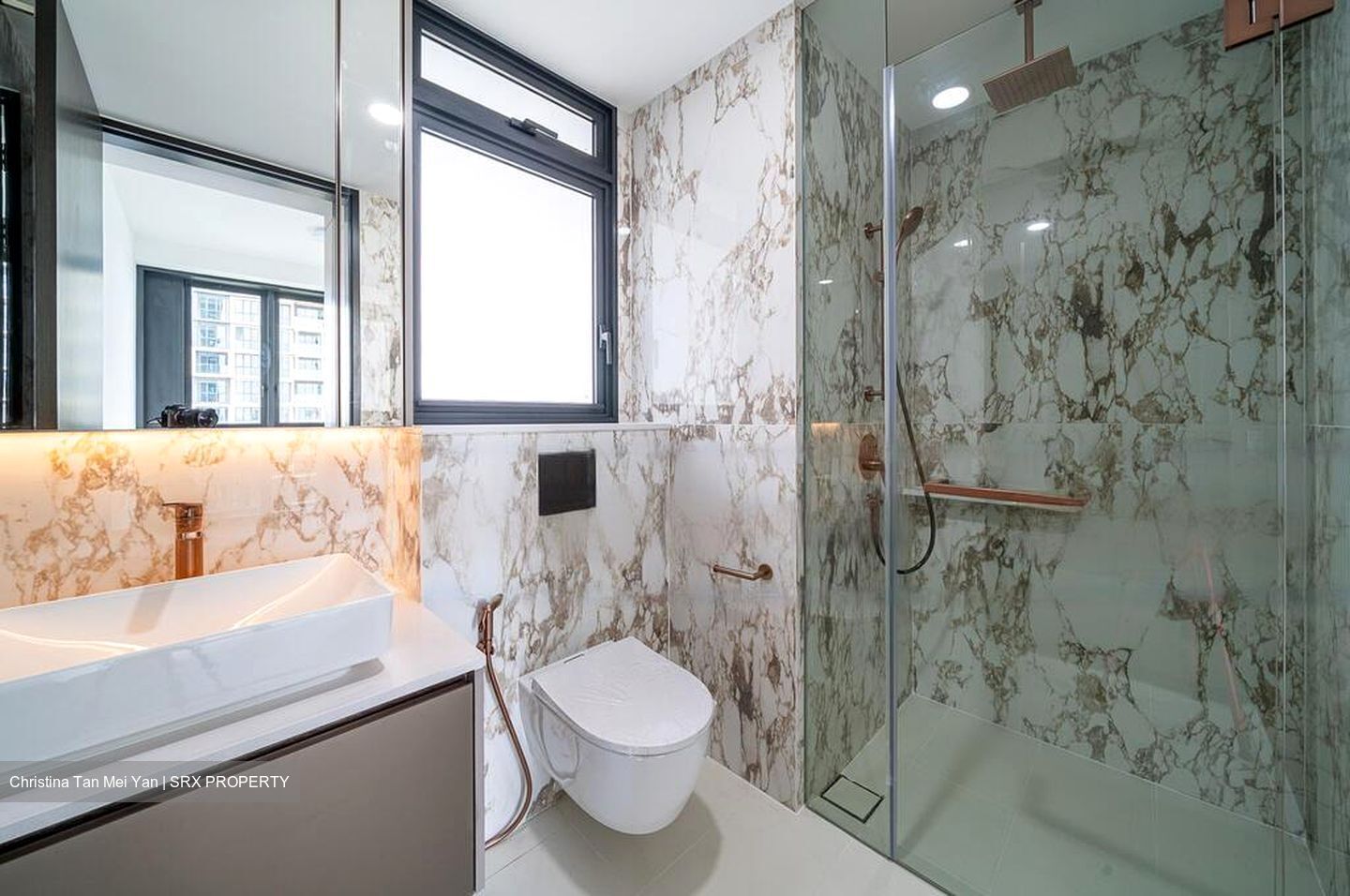 Irwell Hill Residences (D9), Apartment #451600781